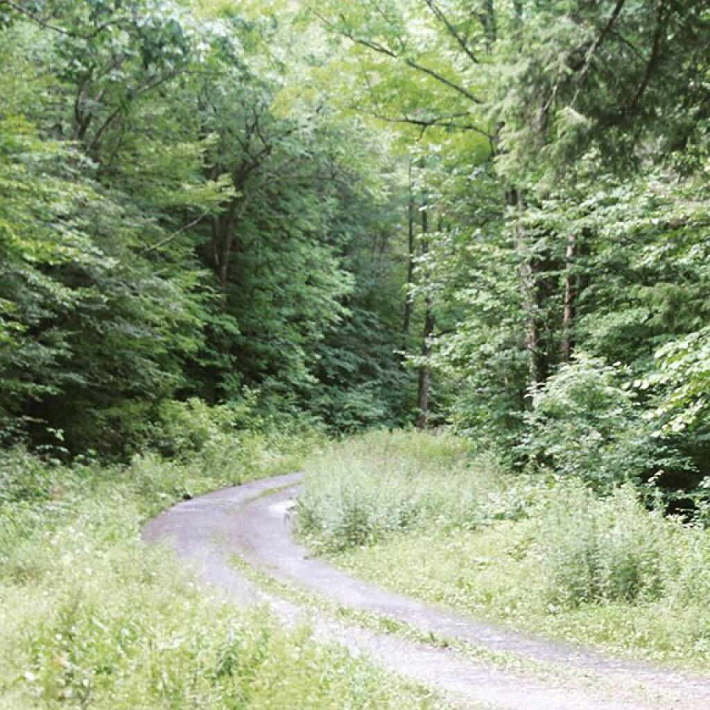 nycmap 6994