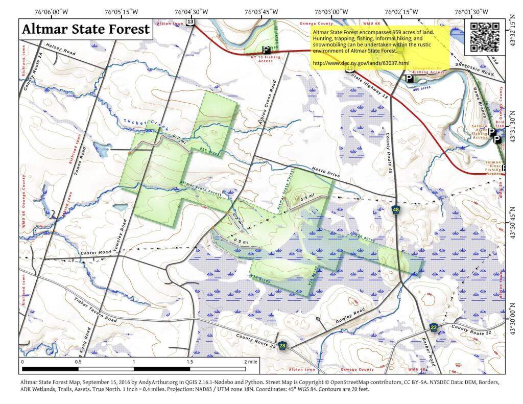 Altmar State Forest Andy