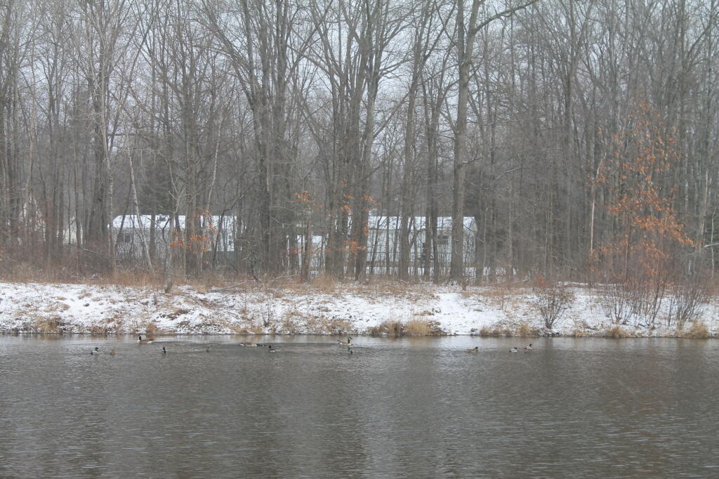 Photos: Albany Pine Bush (Apr 12, 2013, Part A)