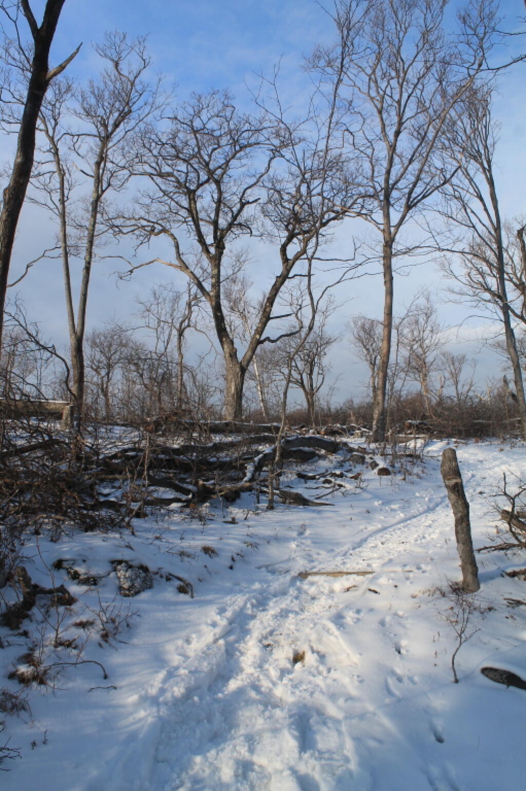 Photos: Petersburg Pass (Jan 19, 2013, Part B)