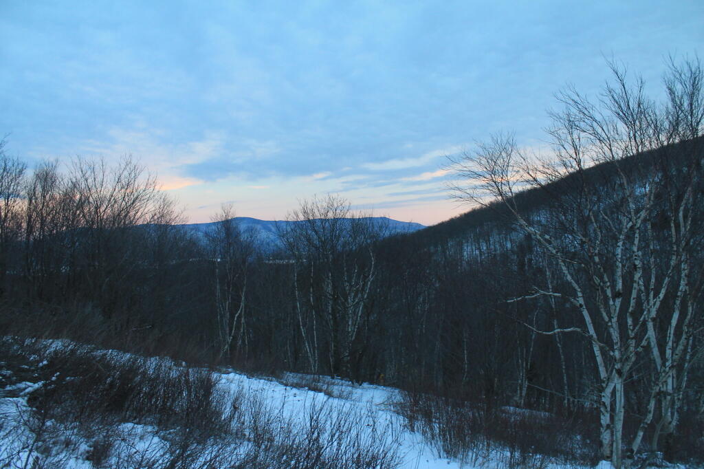 Photos: Petersburg Pass (Jan 19, 2013, Part C)