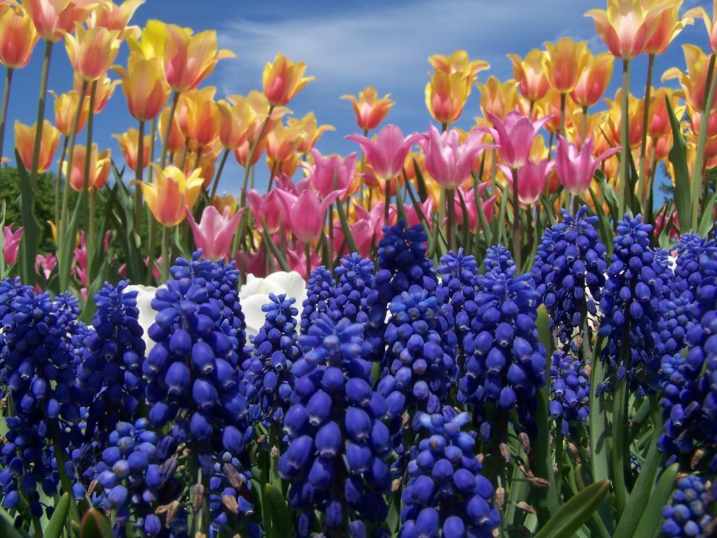 Photo: Springtime