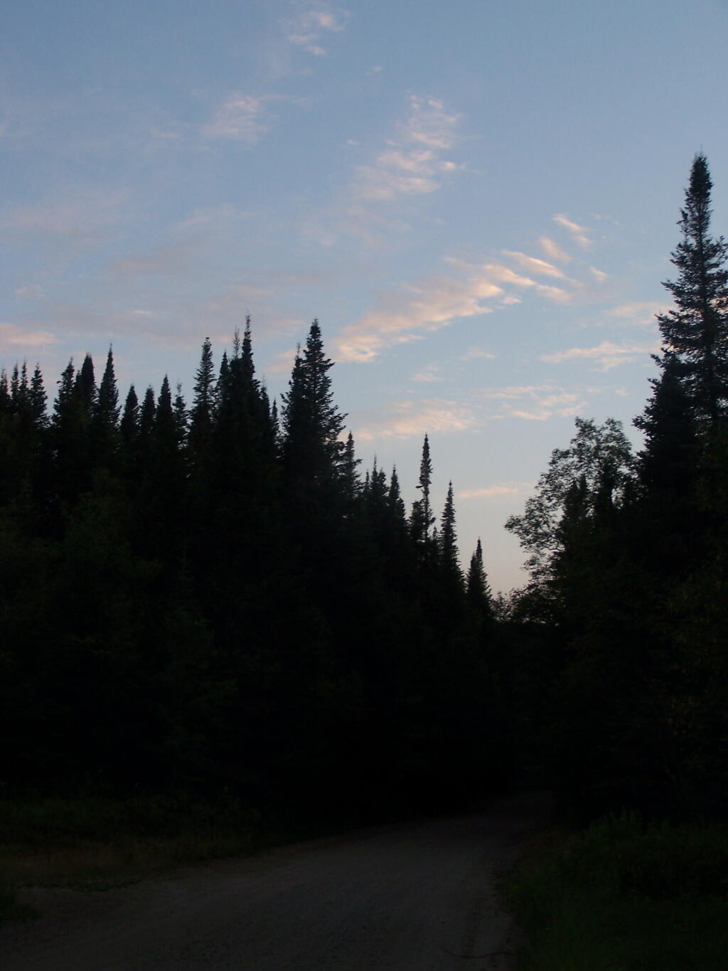 We Need More Wilderness
