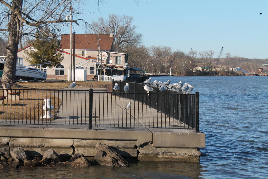 Photos: Coeymans (Feb 5, 2012)