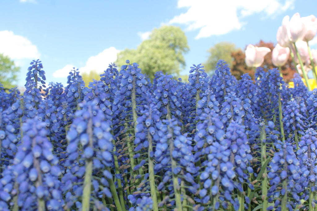 Photos: Washington Park (May 16, 2013, Part B)