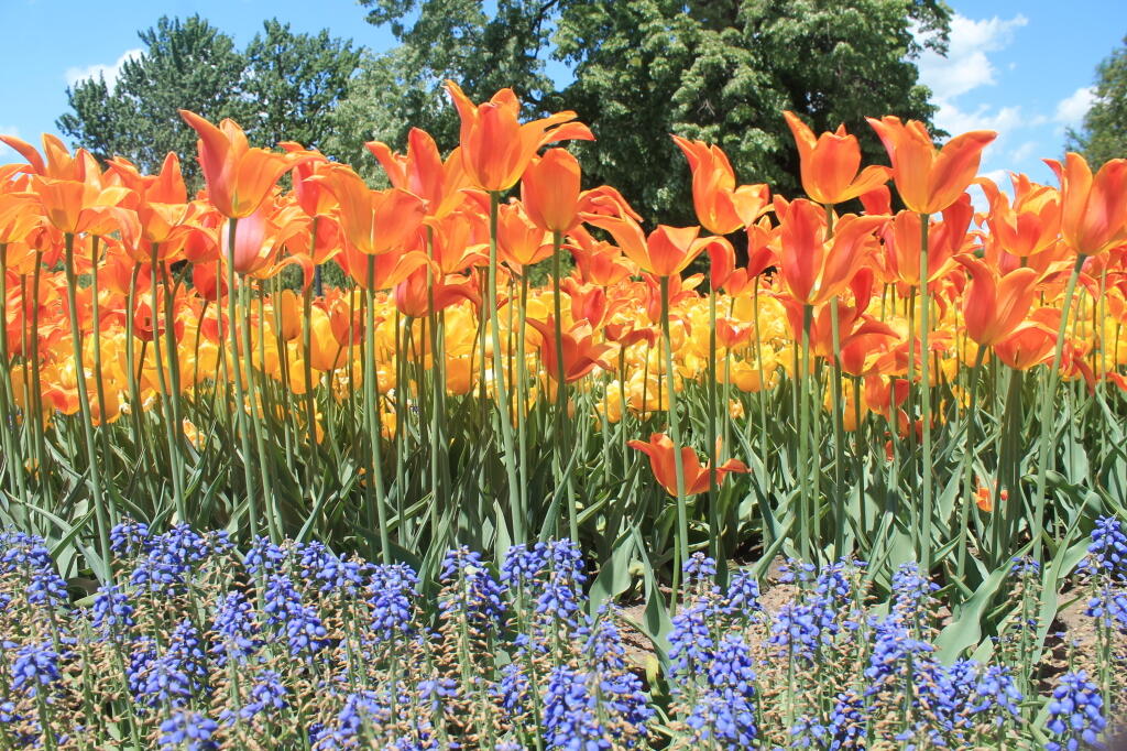 Photos: Washington Park (May 16, 2013, Part C)