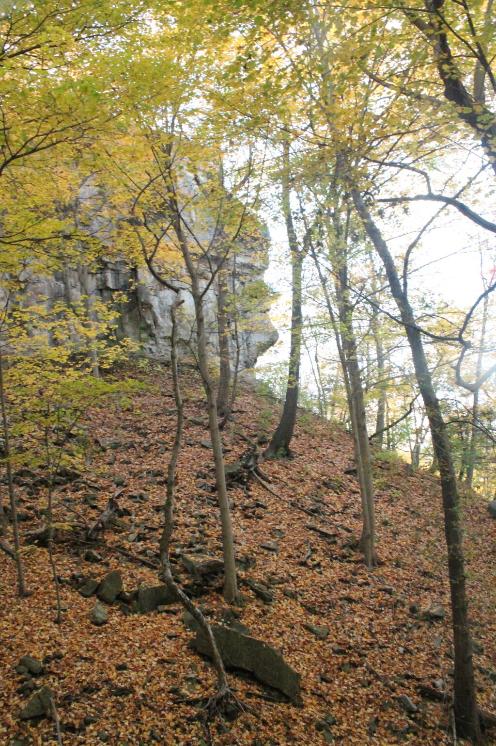 Photos: Niagara Falls (Oct 21, 2012, Part A)