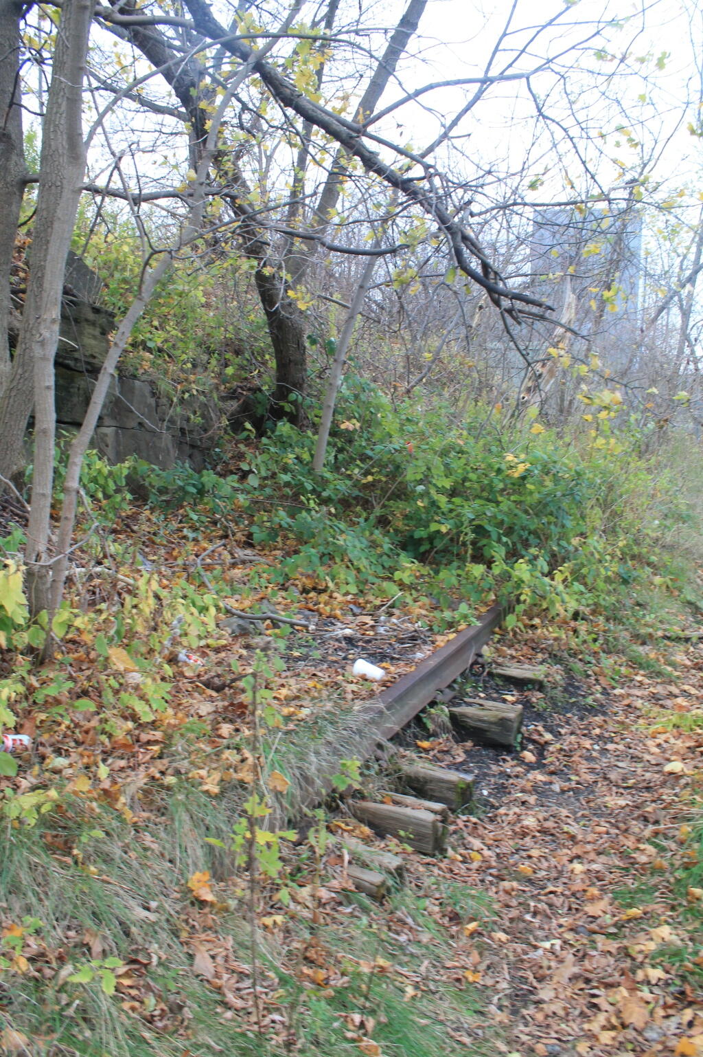Photos: Niagara Falls (Nov 5, 2012, Part E)
