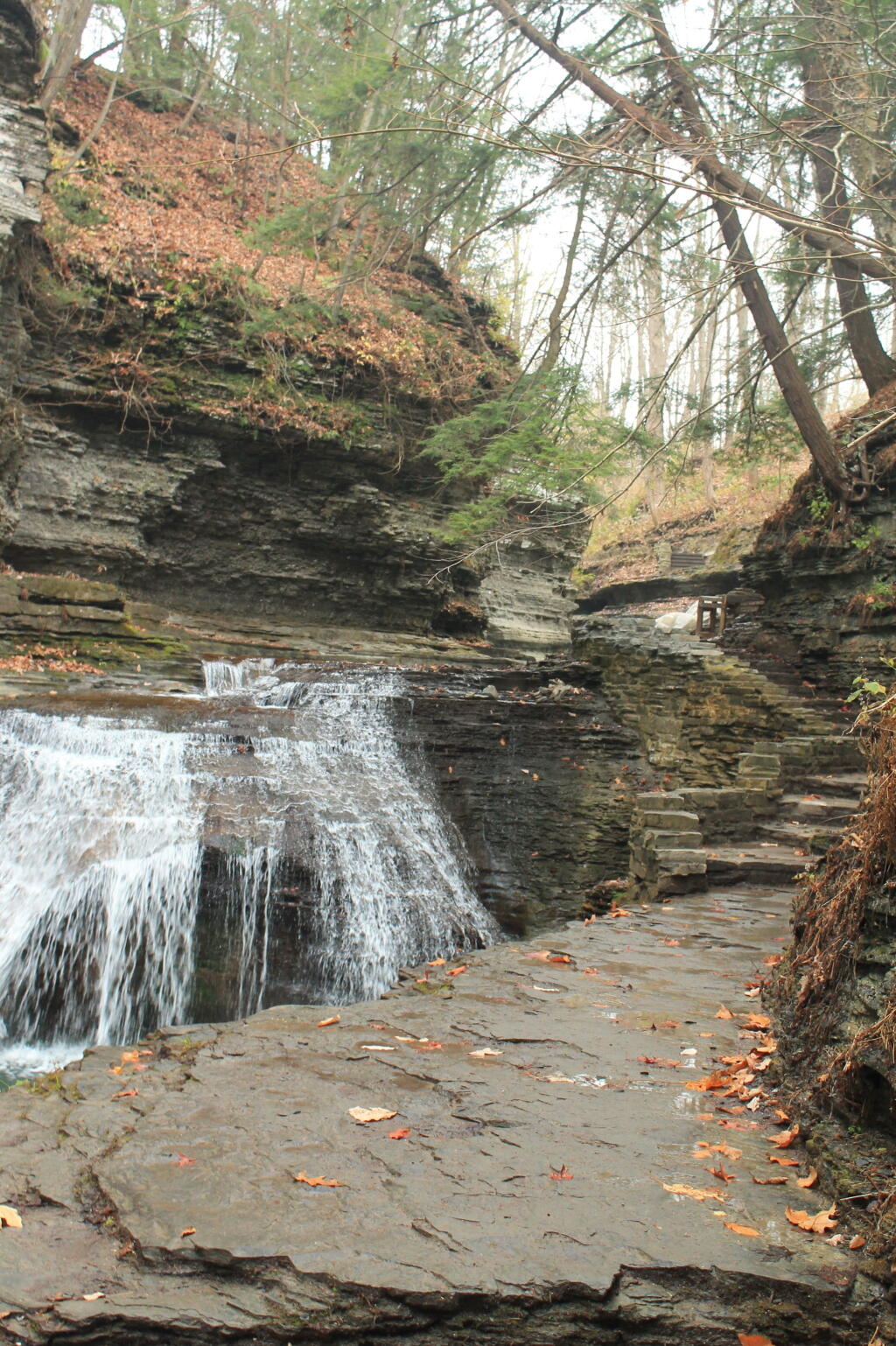 Buttermilk Falls State Park Andy