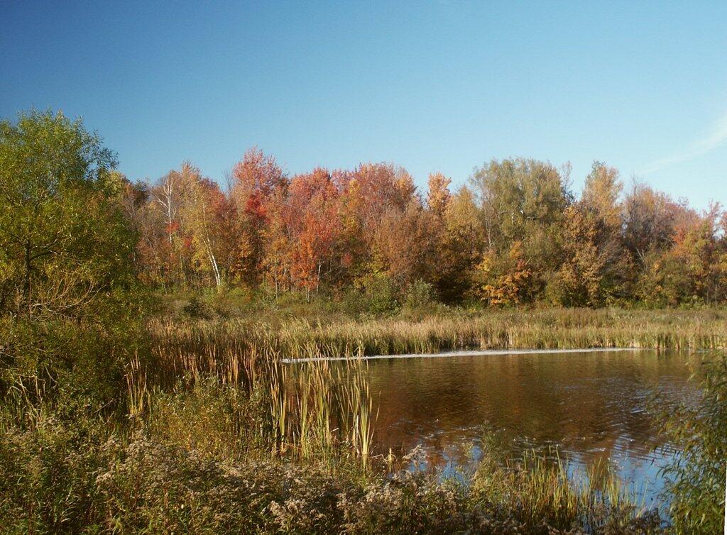 Lake Alice in Fall
