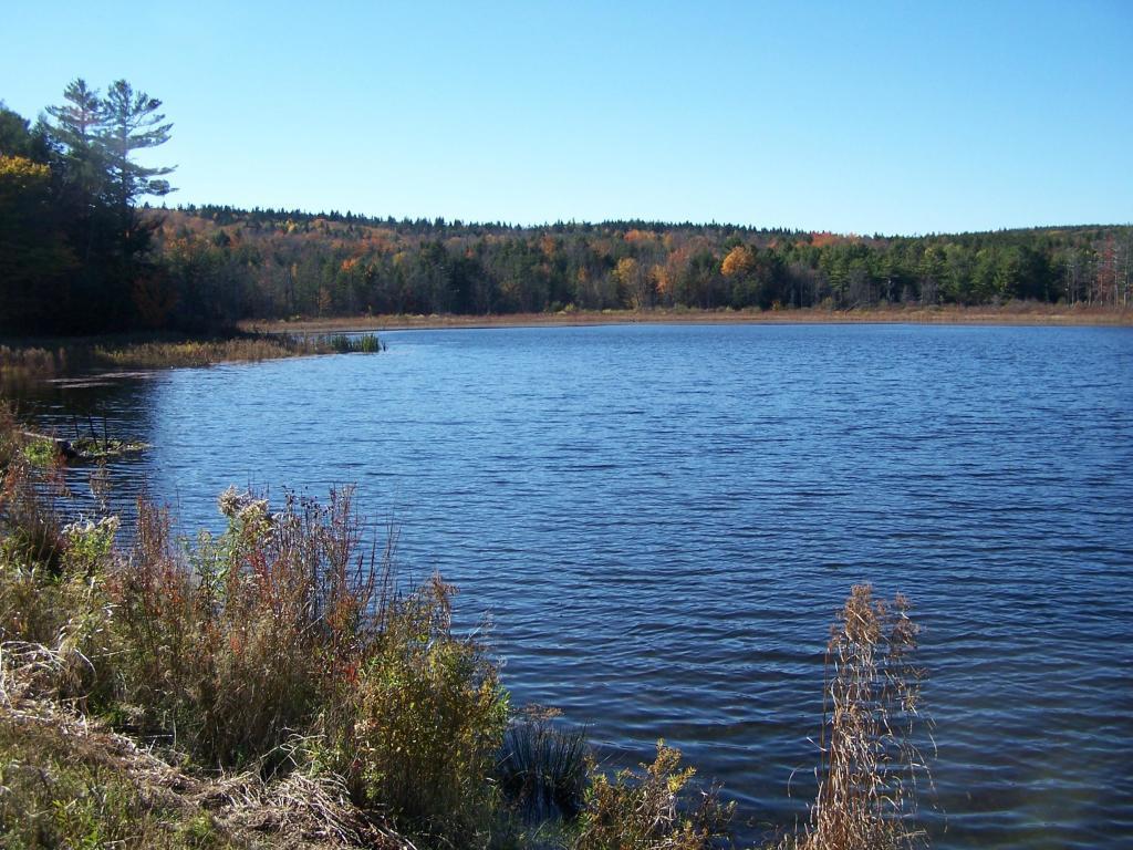 Lower Pond on Beaver Road