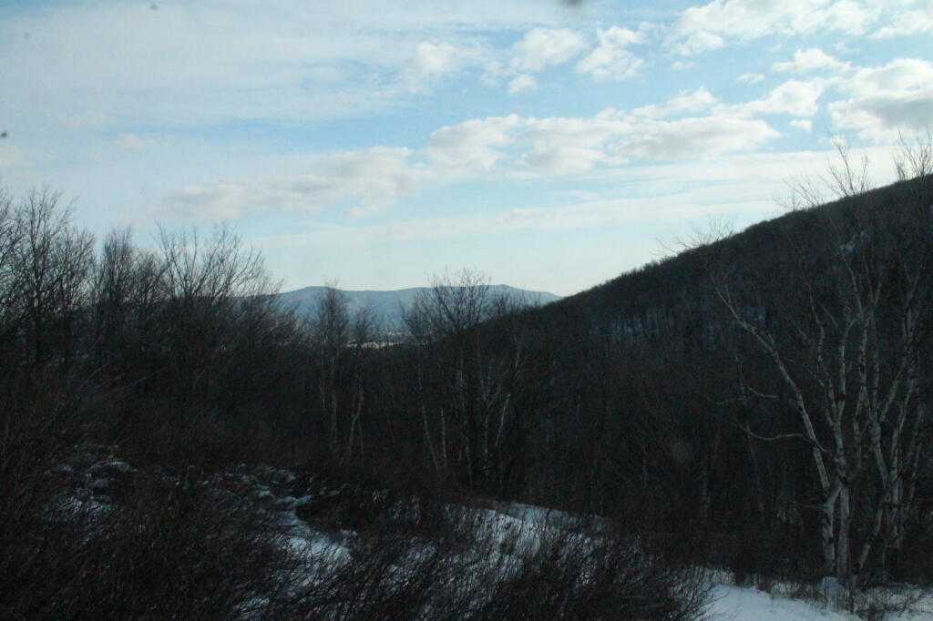 Mount Greylock from Snow Bowl Trail