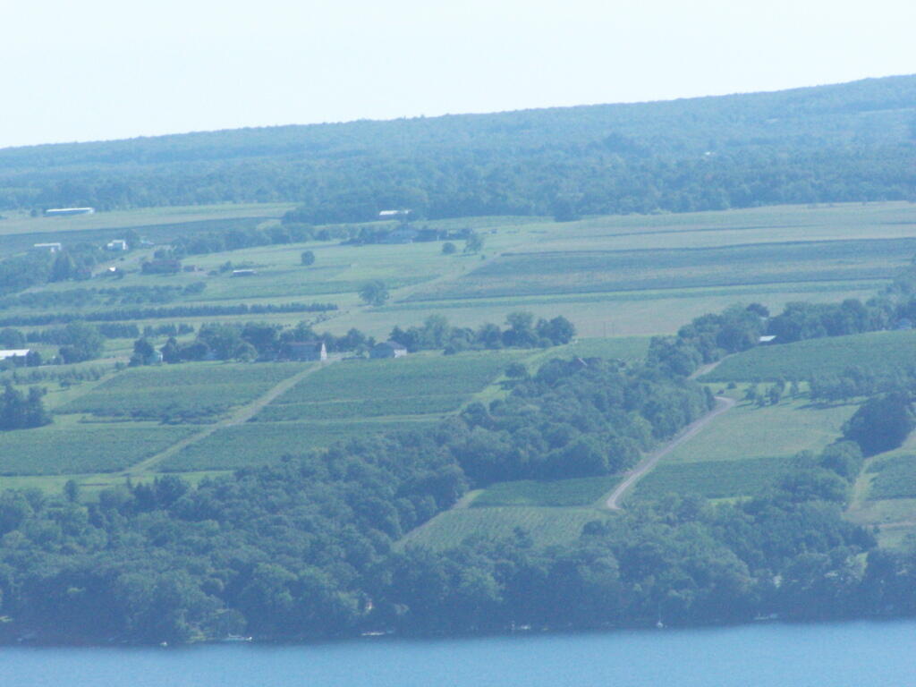  Wineries Across the Way from Seneca Lake