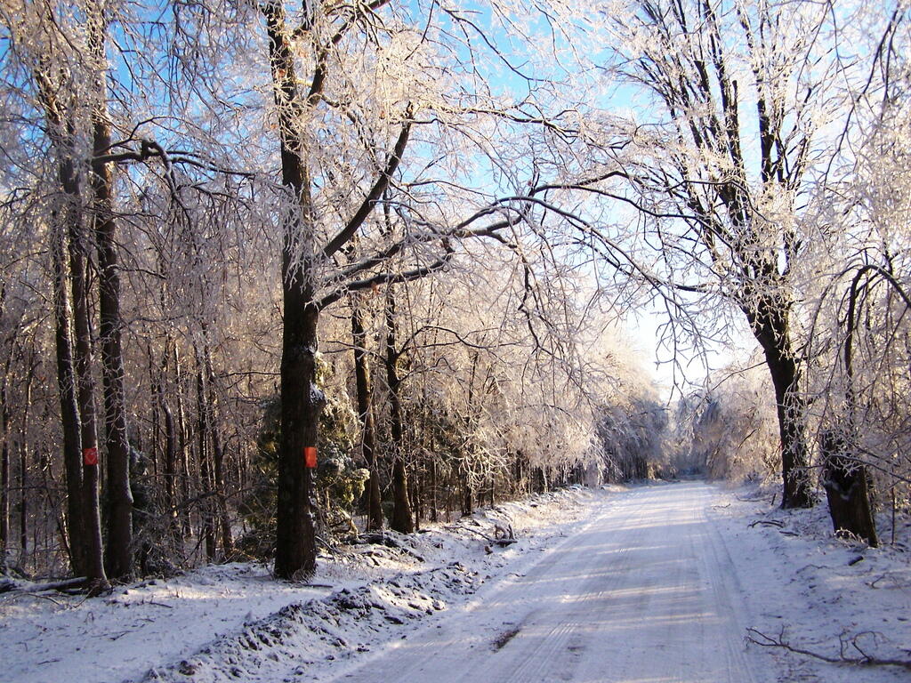 Icy Ryan Road