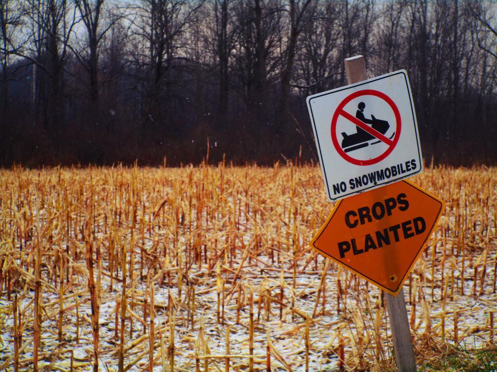 No Snowmobiles. Crops Planted.