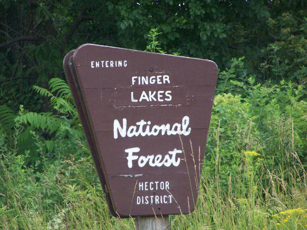 Finger Lakes National Forest Weather