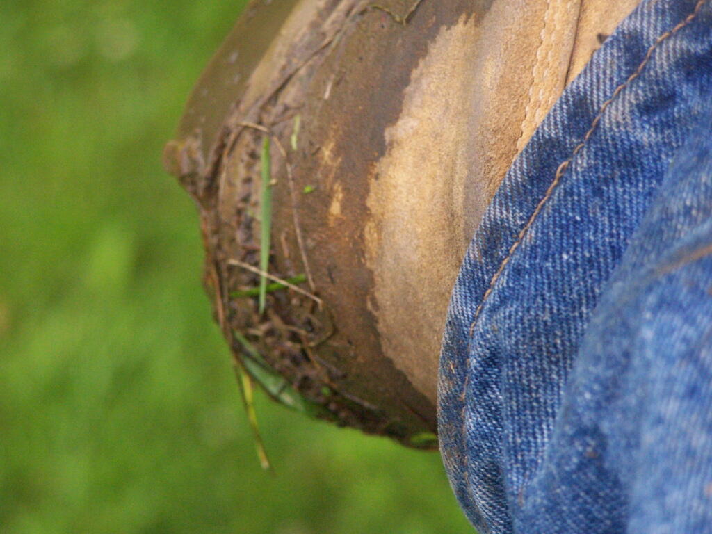 Mud on Boots