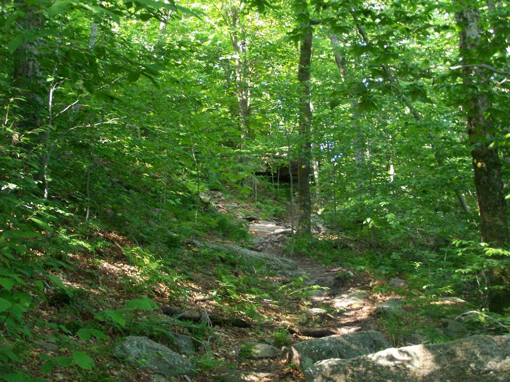 Steeper Trail