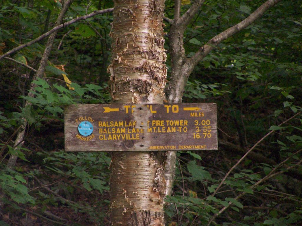 Sign to Balsam Lake Mountain Trail