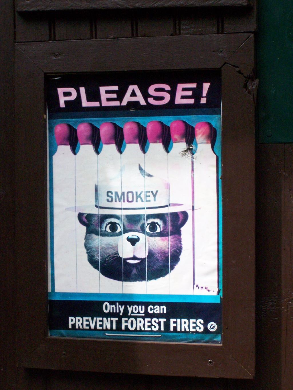 Only You Can Prevent Forest Fires