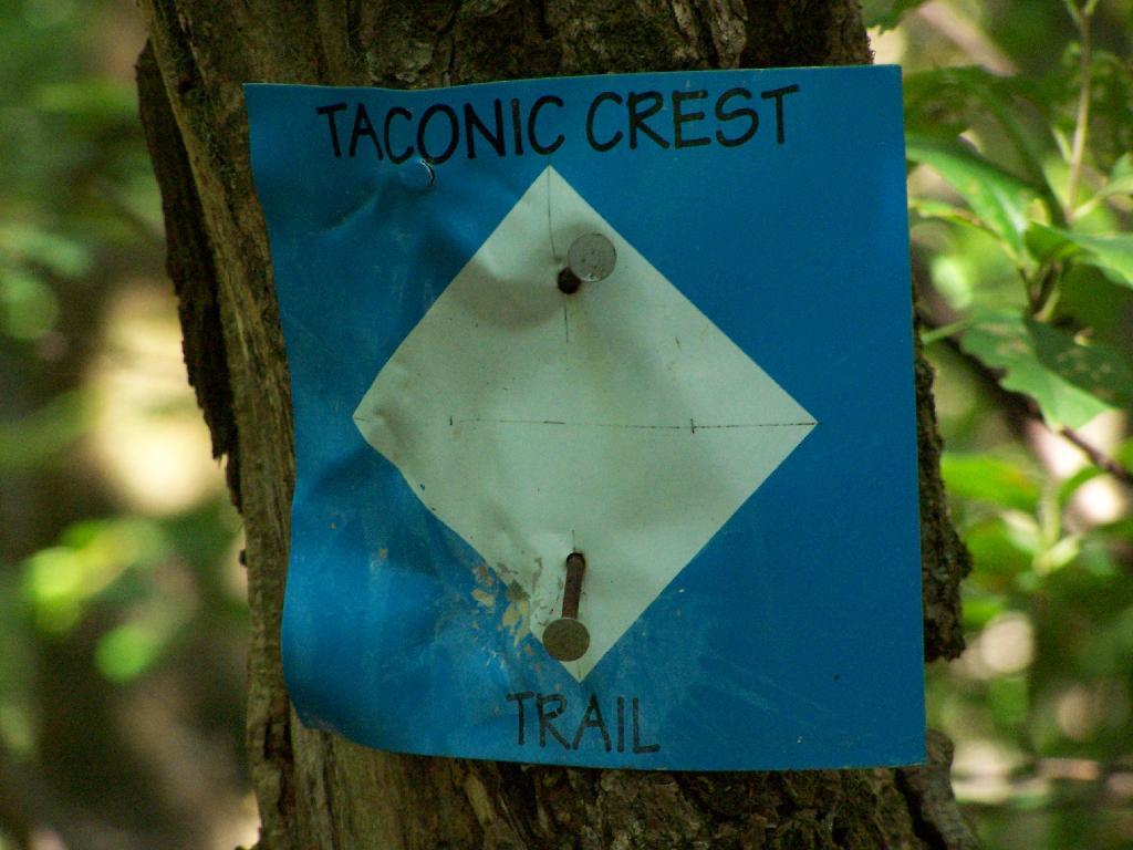 Taconic Crest Trail