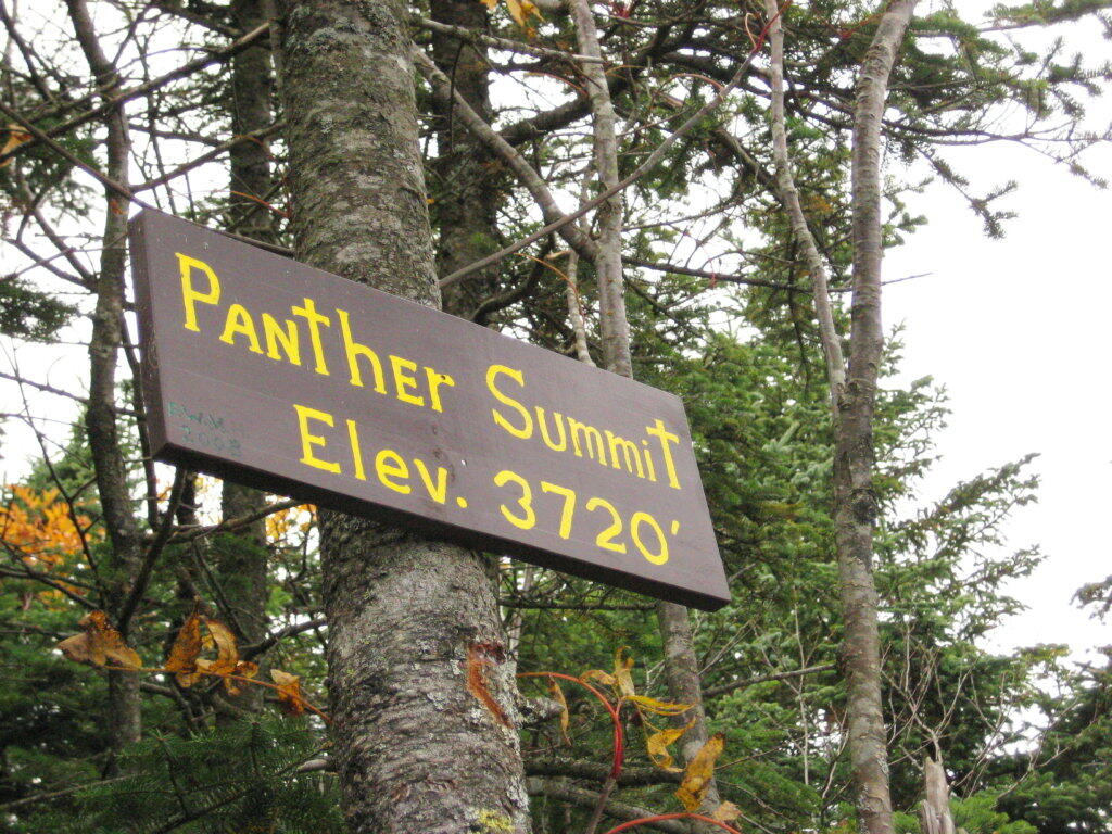 Panther Summit