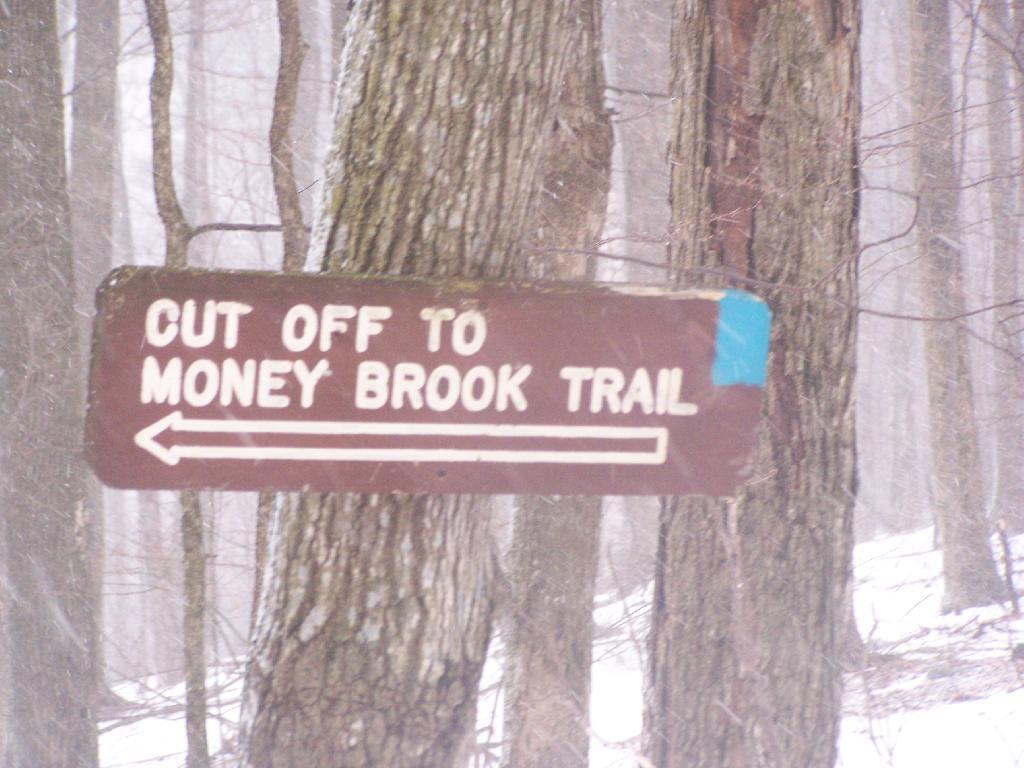 Cut Off to Money Brook Trail in Snow