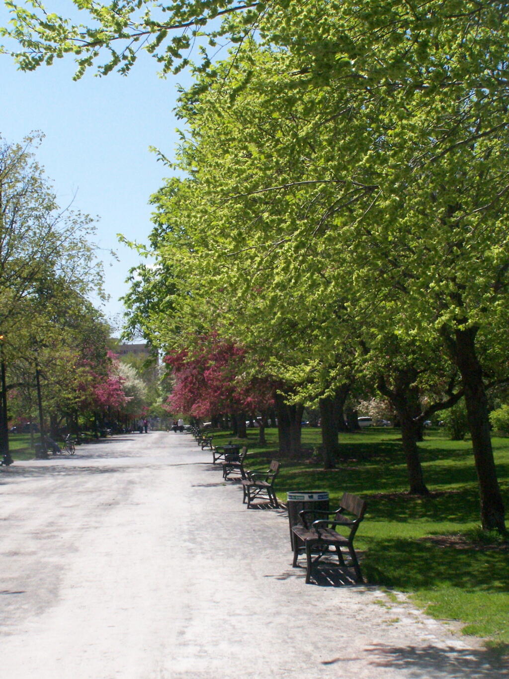 Park Benches in Springtime