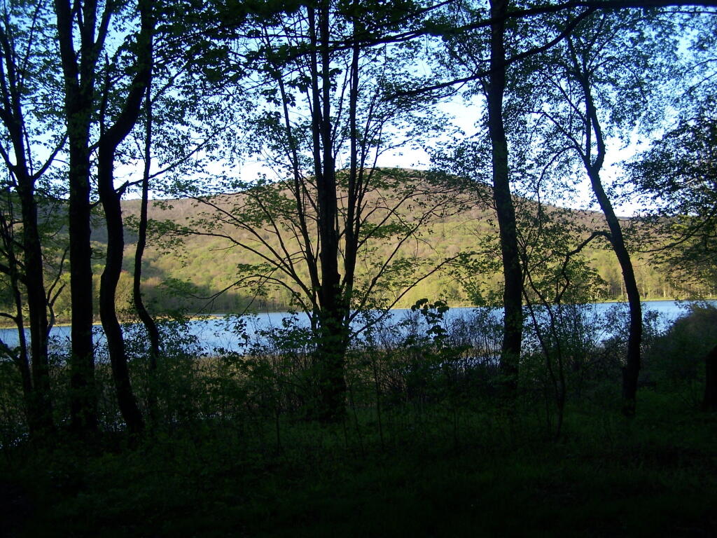View from Campsite in Evening