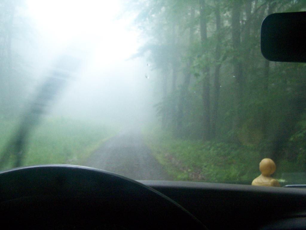  Driving Down Truck Trail in Heavy Fog