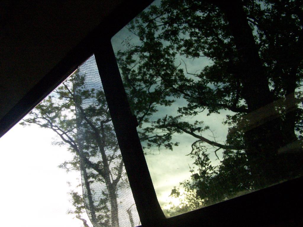 Through the Truck Cap Window