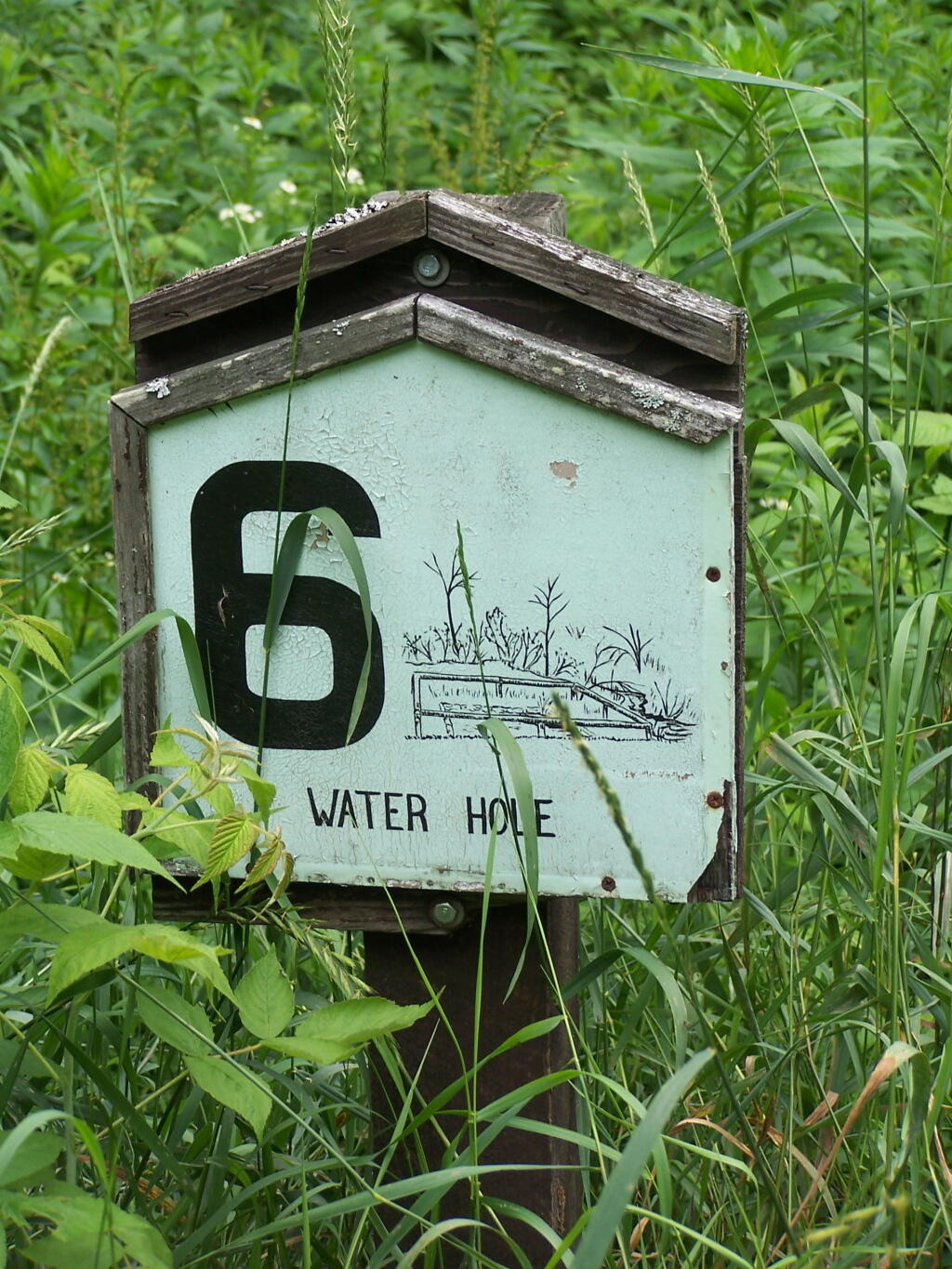Stop 6: Waterhole