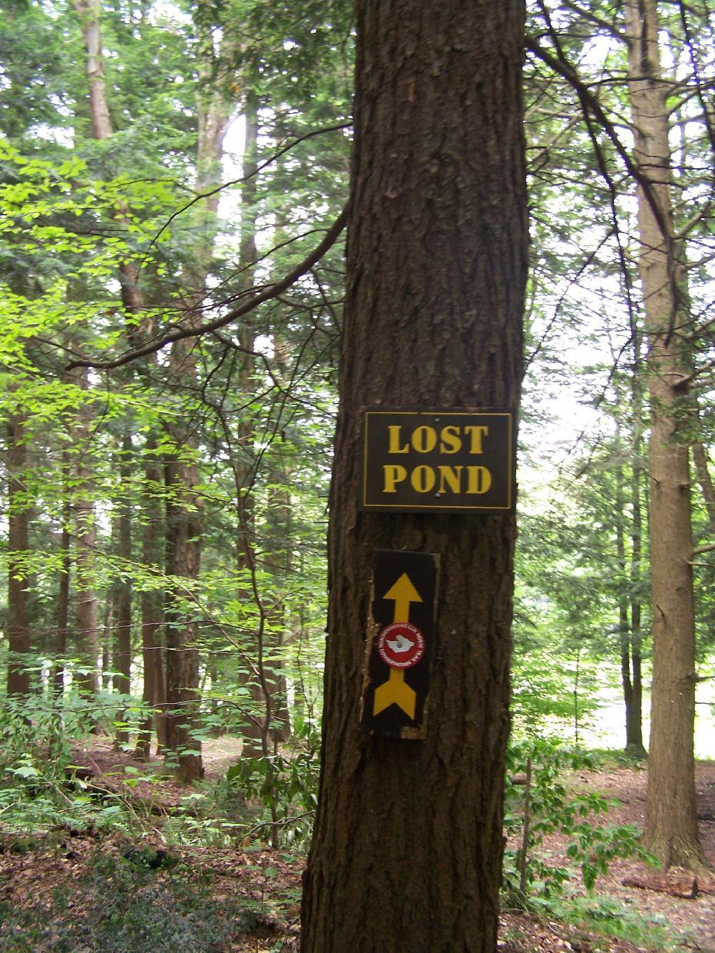 Lost Pond Sign