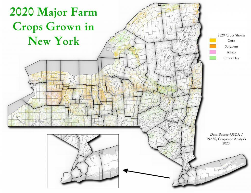 2020 Major Farm Crops Grown in New York