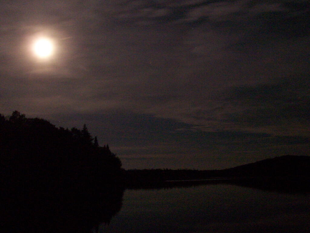 Moonlight on Cedar River Flow
