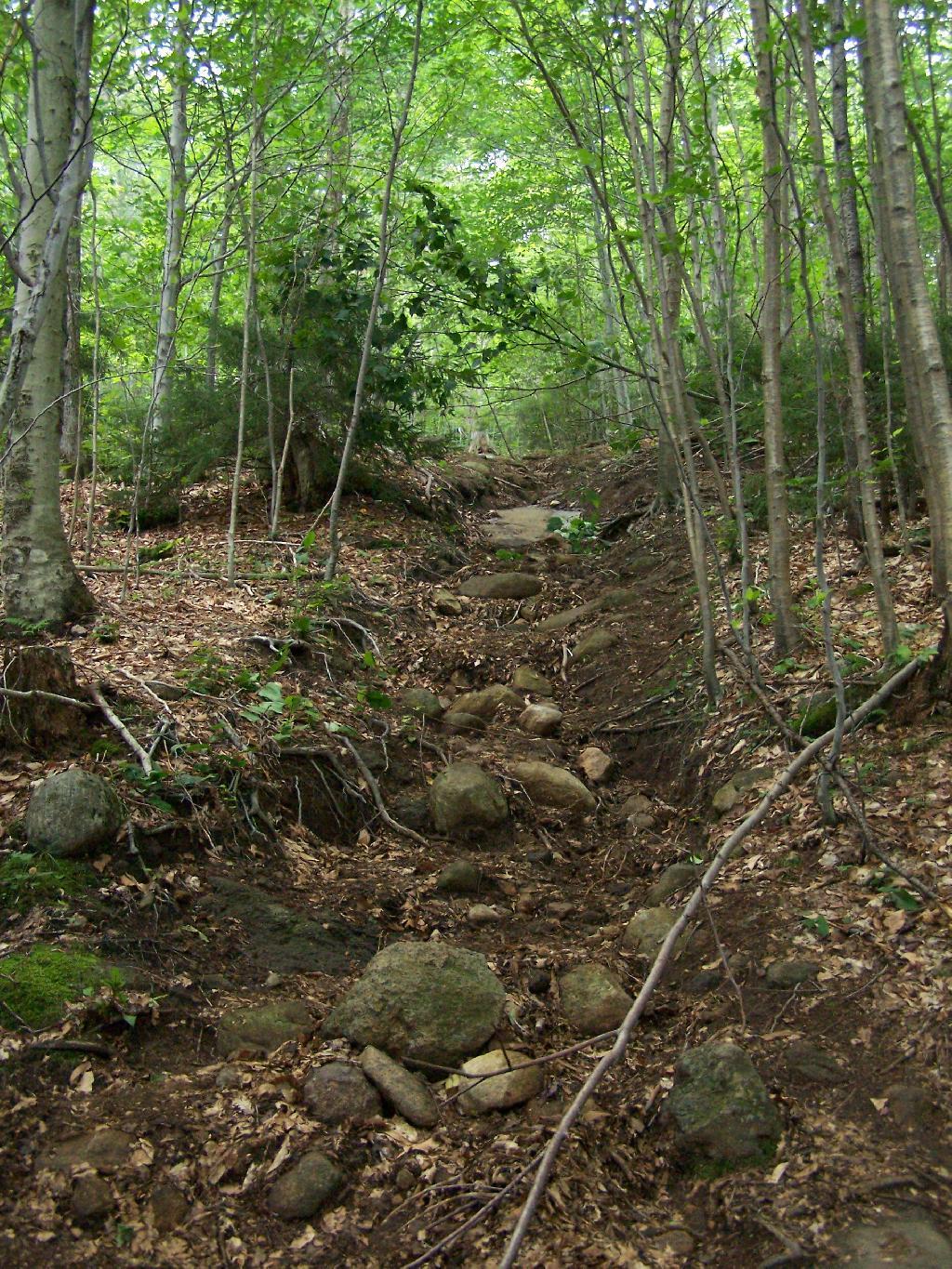 Badly Eroded Wakley Mountain Trail