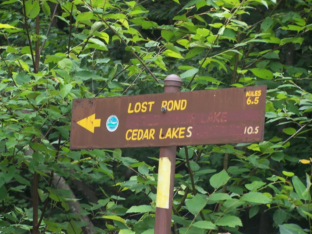 6.5 Miles to Lost Pond