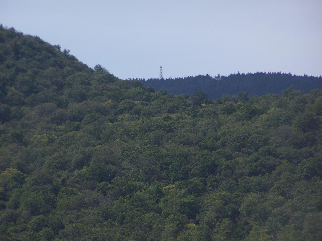 Wakely Fire Tower