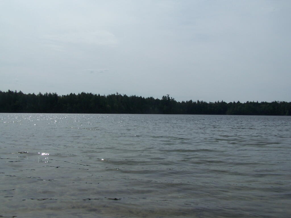 Across Poliwog Pond