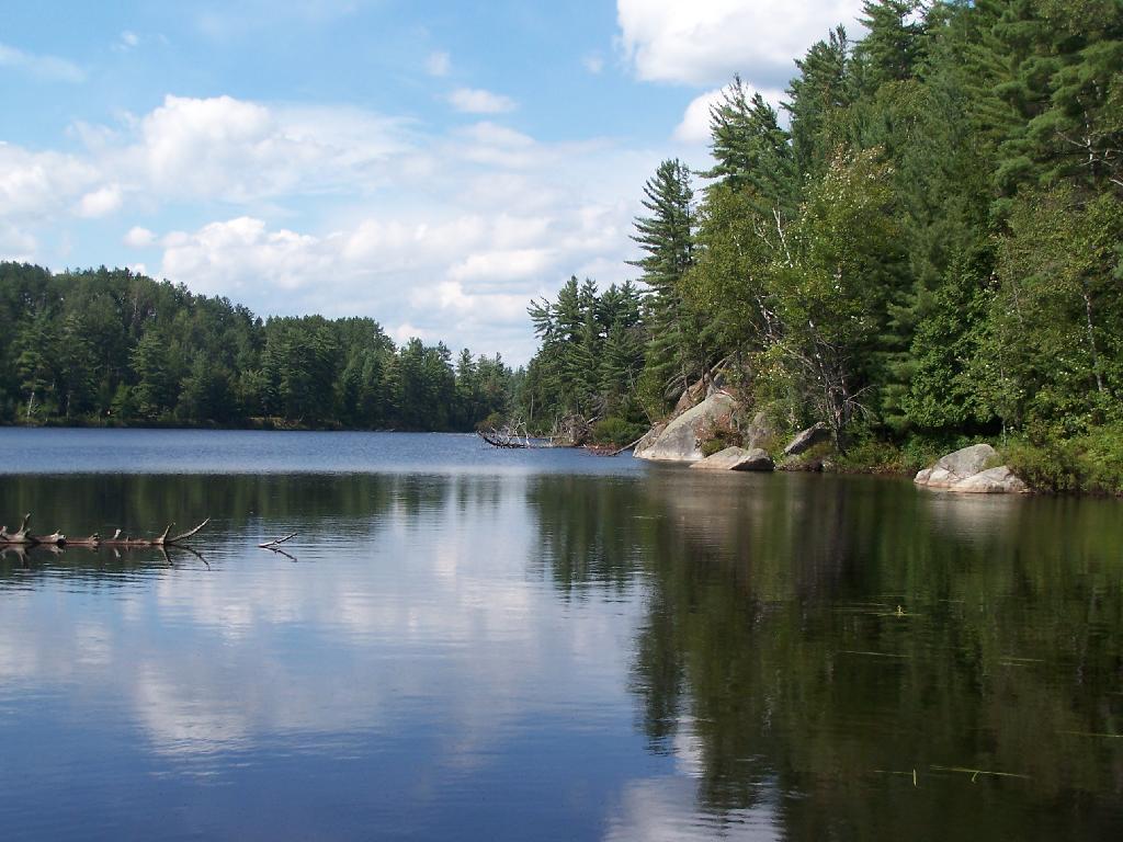 From Southern End of Mountain Pond