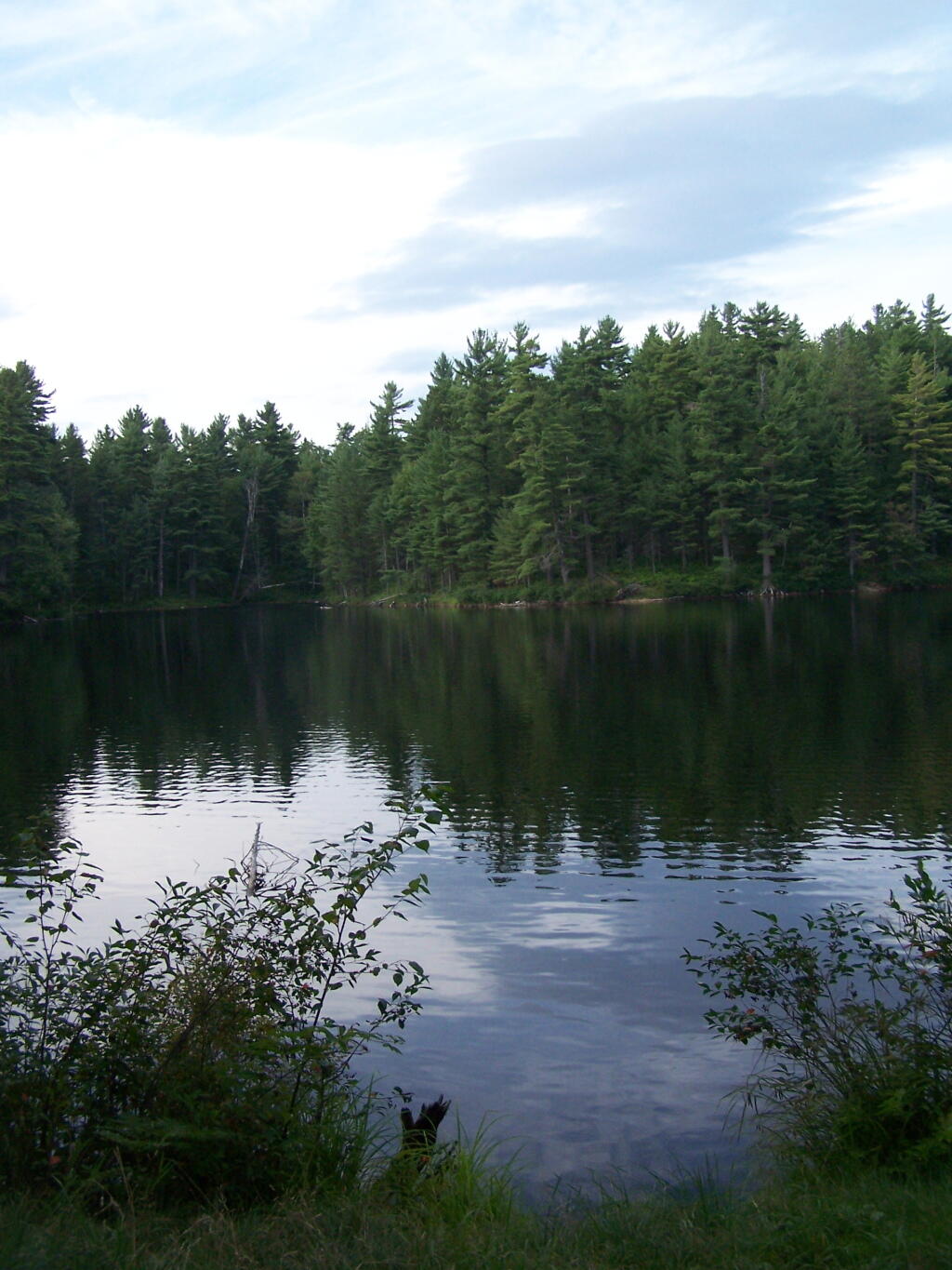 Mountain Pond in the Evening