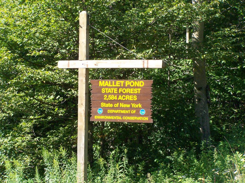 Mallet Pond State Forest Sign