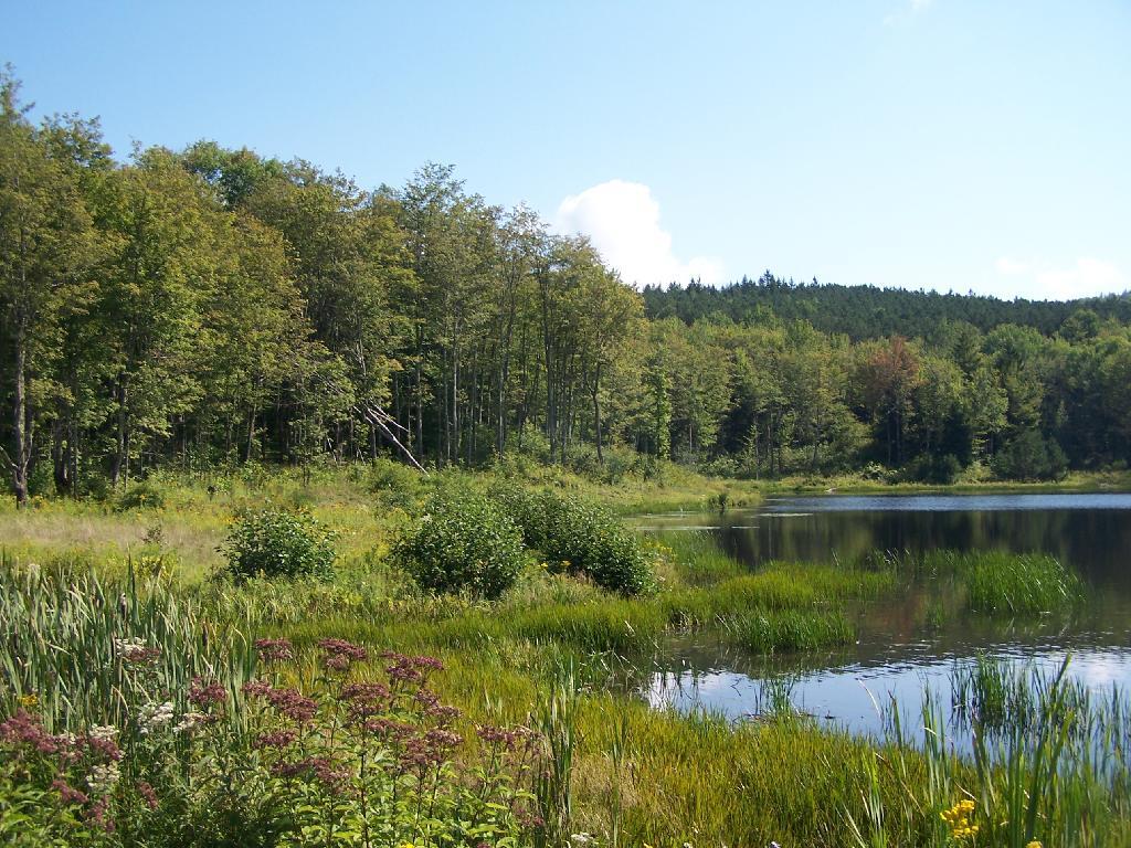 Mallet Pond