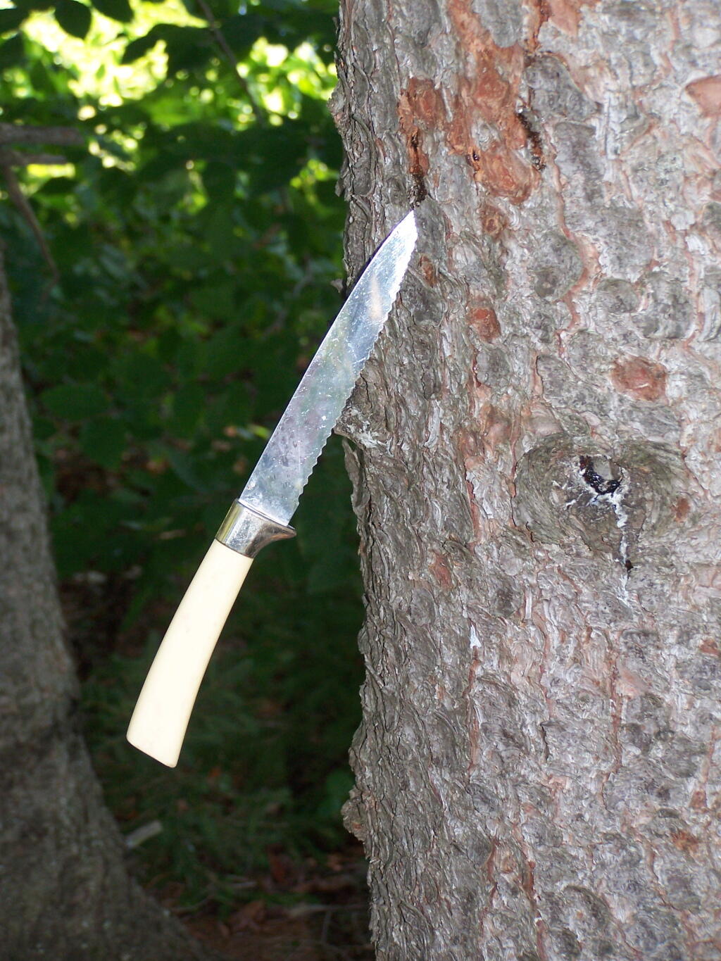 Knife in Tree