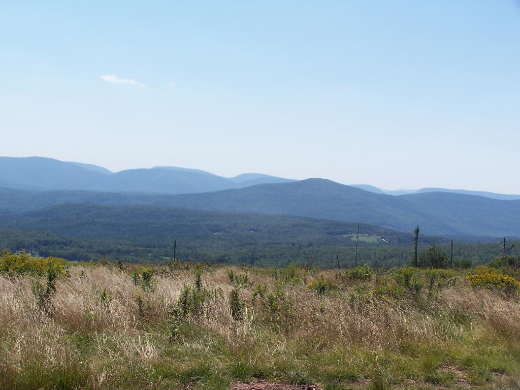 Plateau Mountain and Hunter Mountain