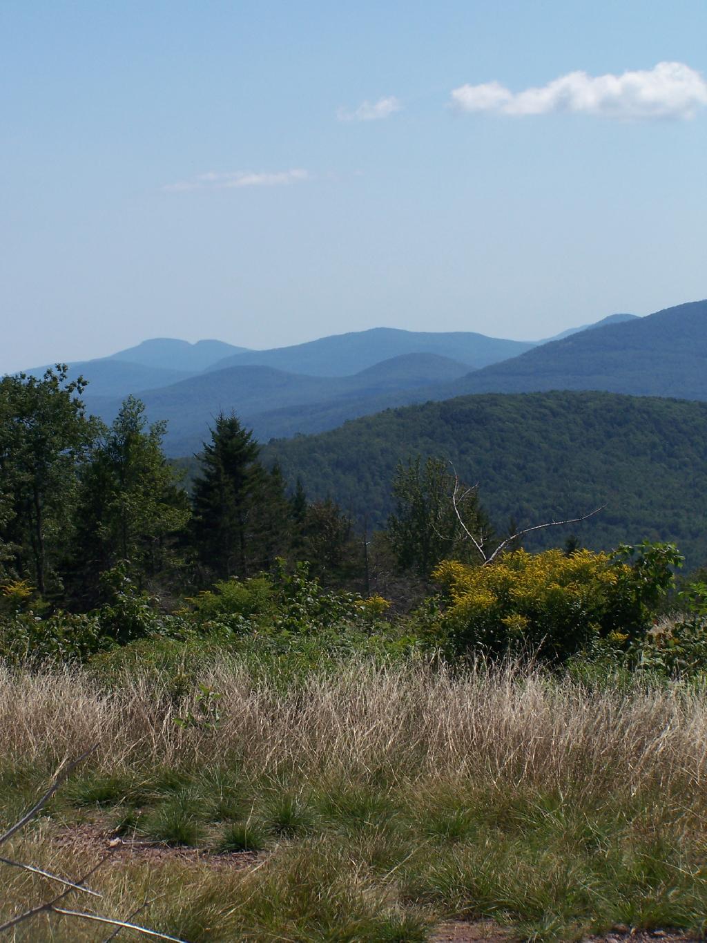 Kaaterskill High Peak and Other Mountains