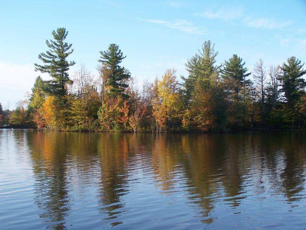 Fall Colors Along the Reservoir
