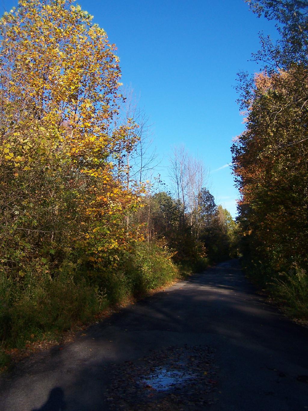 North Entry Road