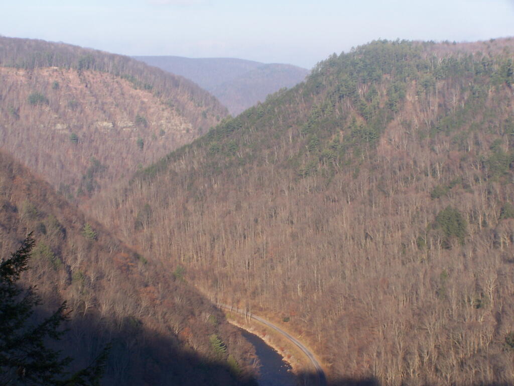 Looking Down Into the Gorge