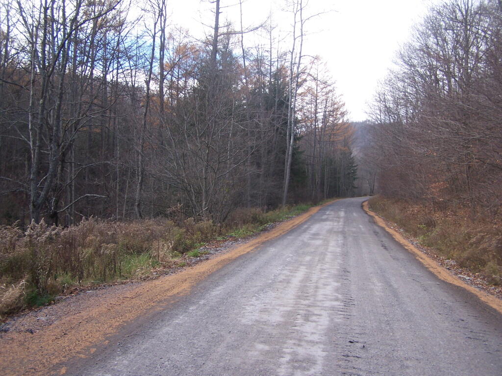 Forest Road Hardened for Drilling Rigs